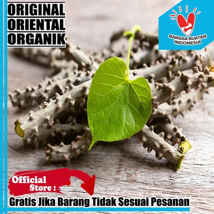 

Brotowali Kering 500 Gram Organik Murni Kemasan Plastik PE Tebal Hasil Bumi Indonesia