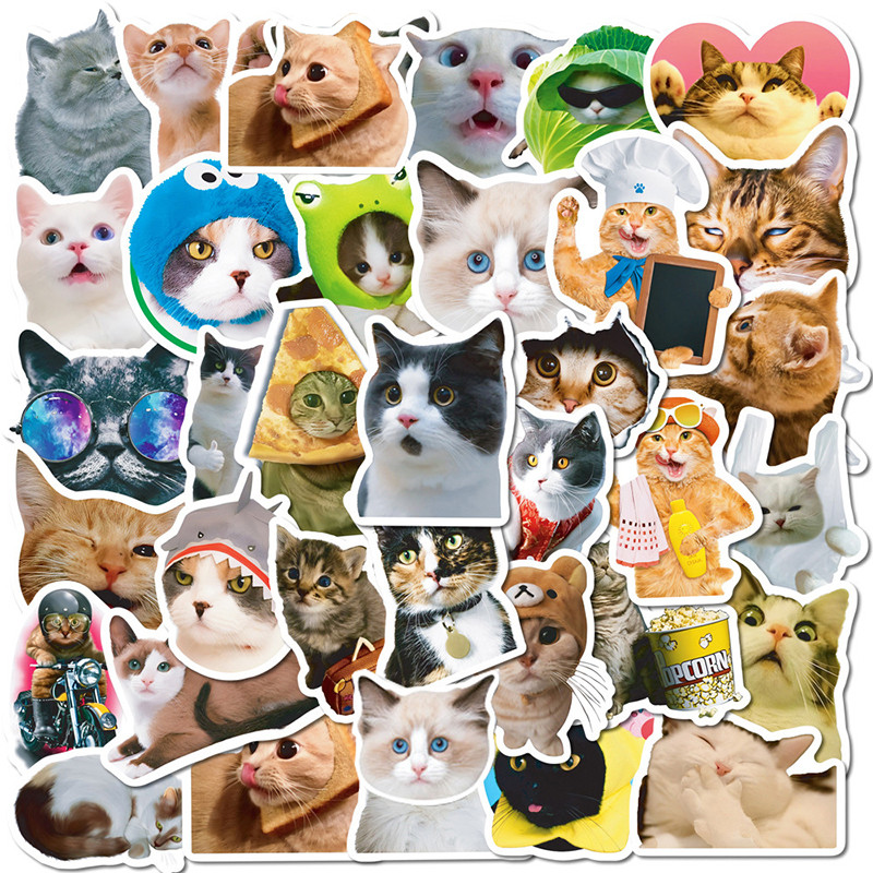 

10/50/100PCS Cute Funny Cat Pets MEME Cartoon Stickers Decal Laptop Phone Luggage Bike Motorcycle Car Graffiti Sticker Kids Toys