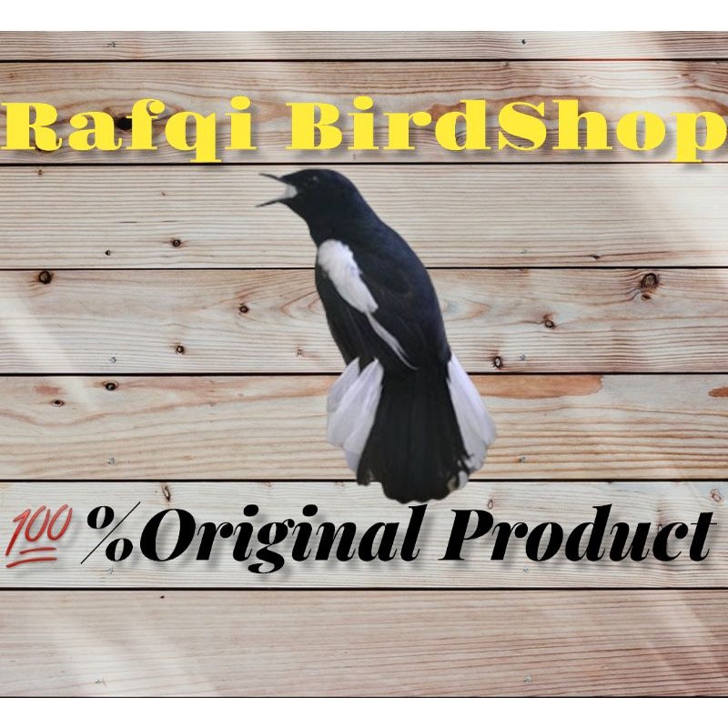 KACER JAWA BARAT GACORAN