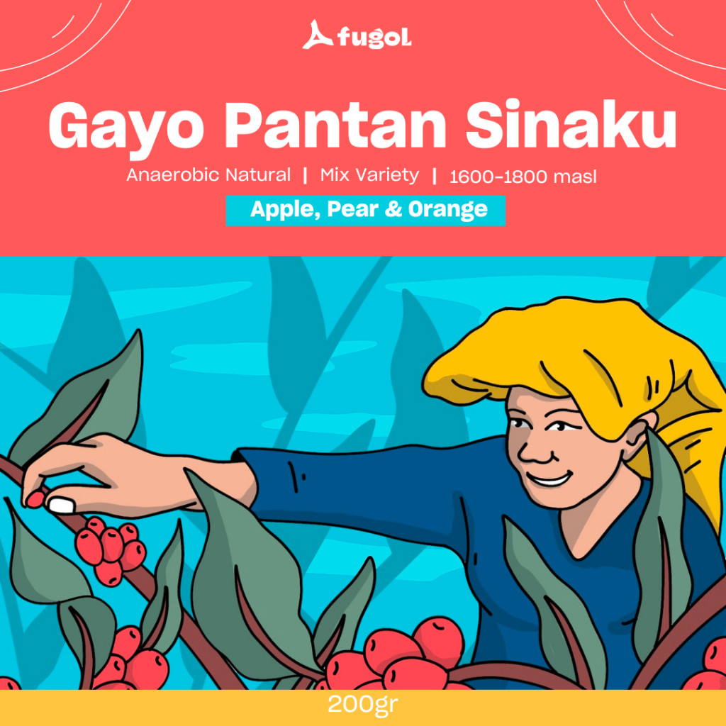 

Kopi Arabika Gayo Pantan Sinaku (200 gram) Single Origin Specialty Coffee Beans