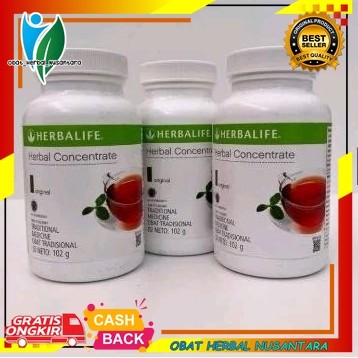 

Herbalife Teh Thermoo Concentrate Original Pembakar Lemak Kalori Penurun Berat Badan Tea Concentrate Herbalife Thermo Herbal Pelangsing Shake Original