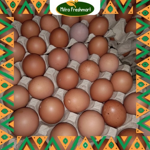 

Telur Ayam Negeri Perbiji