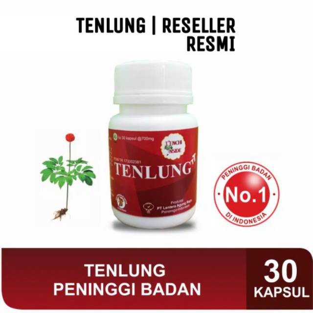 TENLUNG PENINGGI BADAN KEMASAN ISI 30 KAPSUL ( BOTOL SEGEL ) ORIGINAL