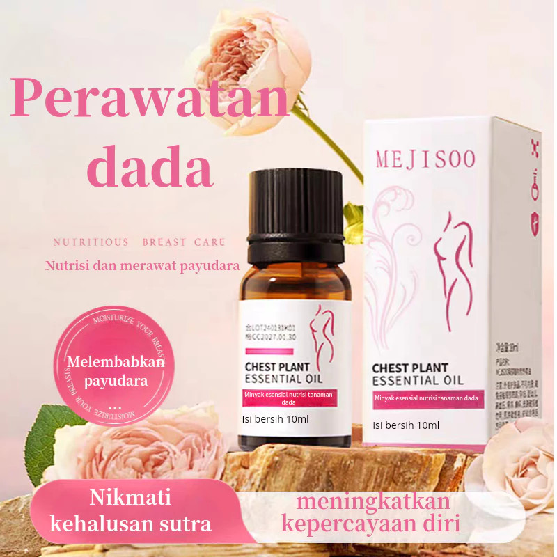 Obat pembesar payudara Serum pembesar payudara Pembesar payudra 10ml Pembesar payudara ampuh permane