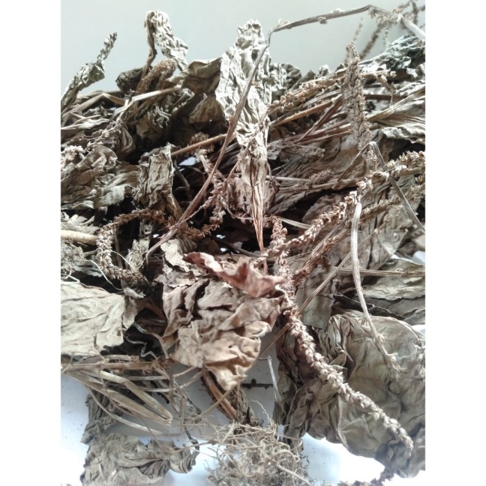 

Daun Sendokan Kering / Sendok / Ki Urat 100 gram