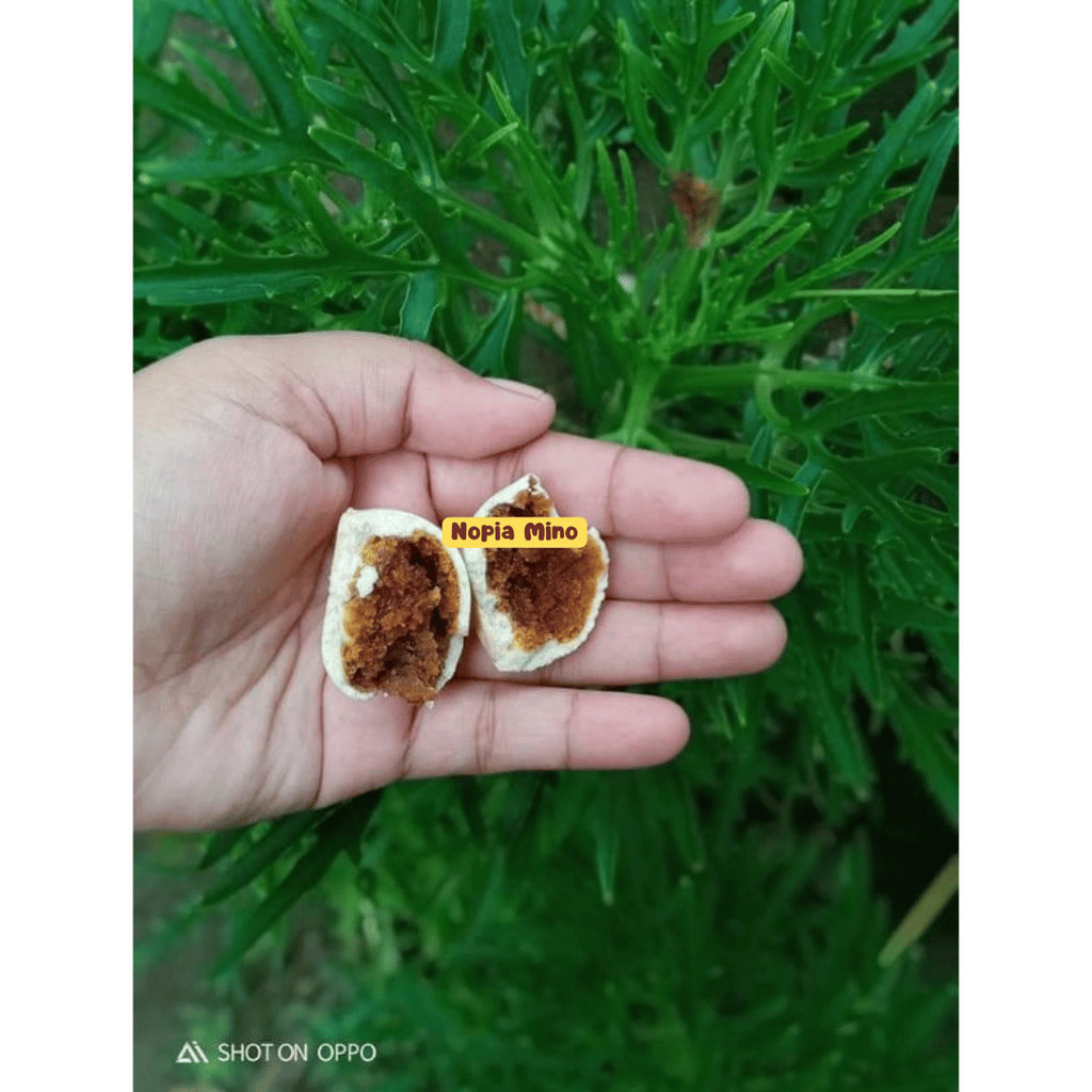 

Best seller JUAL kue mino nopia 1kg kue mino Nopia kue mino khas Banyumas kue jadul kue kering kue mino