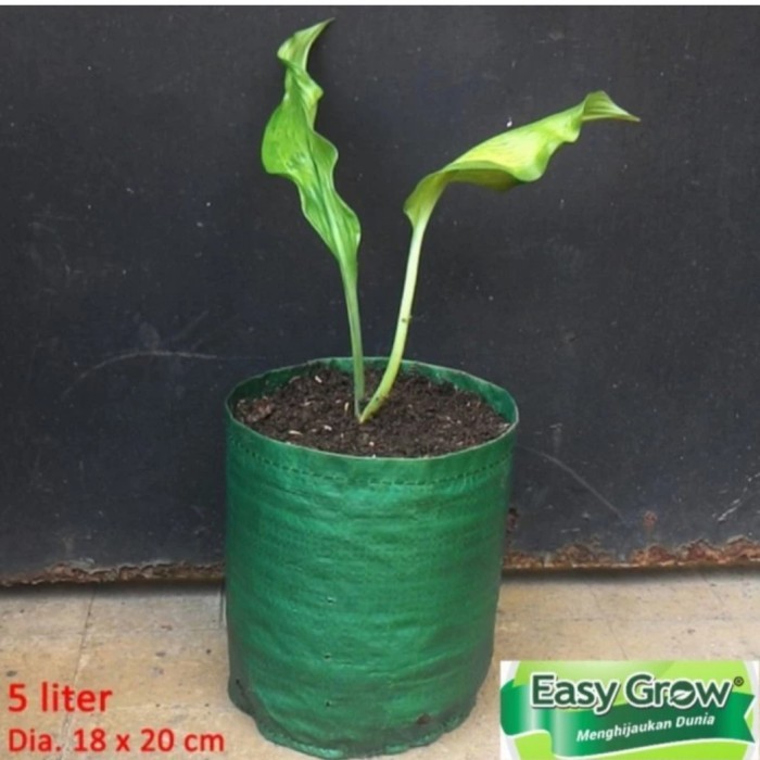 PLANTER BAG EASY GROW 5 L HIJAU PAKET 5 PCS KANTONG POT TERPAL TANAMAN