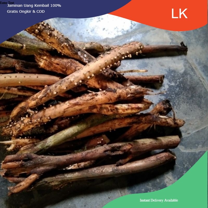 

akar pinang/jambe segar 250g/akar jambe/akar jambe muda/akar jambe basah