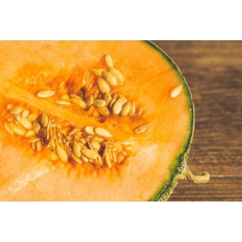 { COD } BENIH/BIJI MELON MADU MANISS