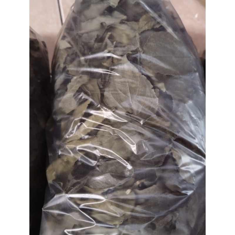 

daun keji beling kering perbungkus