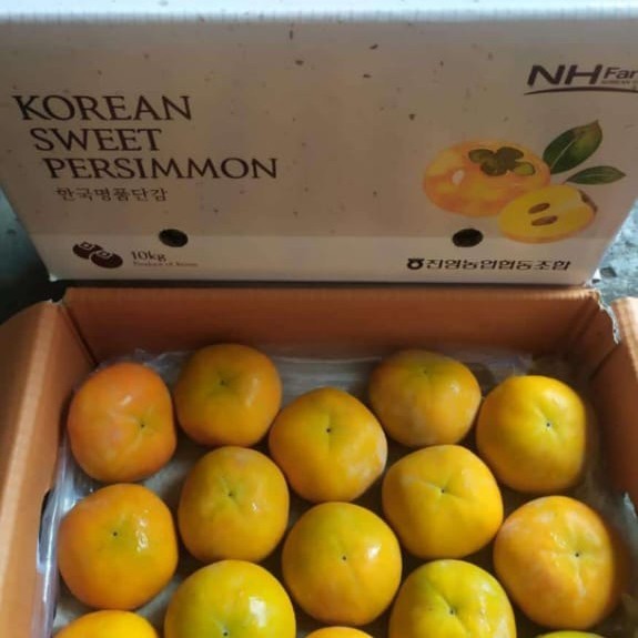 

Persimmon korea manis | Buah persimon korea box 10 kg