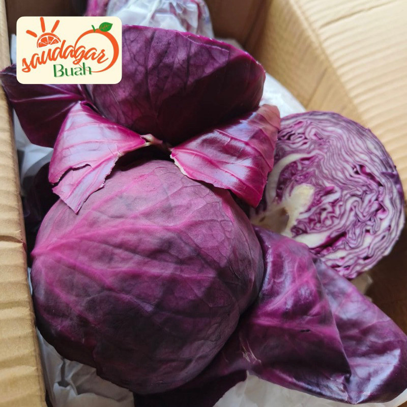 

UD BUAH 3 SAUDARA KOL UNGU FRESH SAYUR SEGAR KUBIS UNGU 500GR
