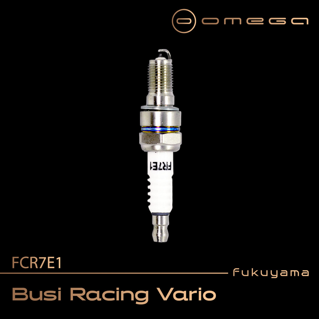 Fukuyama Busi Racing Vario (FC7EH1)