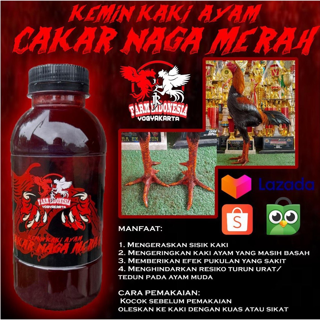 VBAR-462 KEMIN KAKI AYAM CAKAR NAGA MERAH RJ FARM