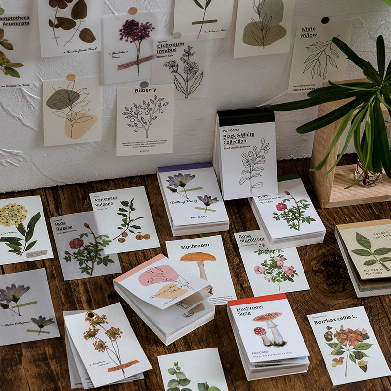 

Journamm 50pcs Vintage Beautiful Plant Retro Card Kraft Cards for Deco Stationery LOMO Cards Stationery Notepad Sticky Notes
