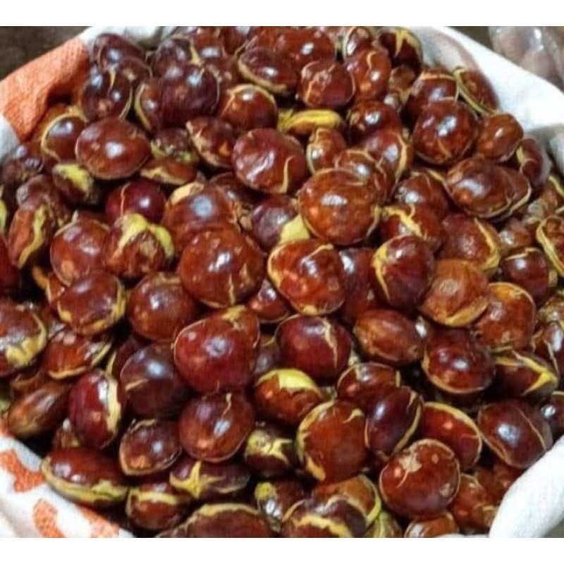 

jengkol/jering.nama di kampung kemasan 1pak 500gram