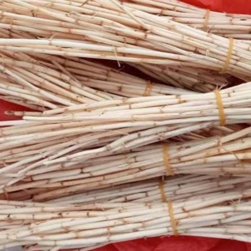 

Akar Alang-Alang Segar 500gram/obat herbal untuk meredakan panas dalam