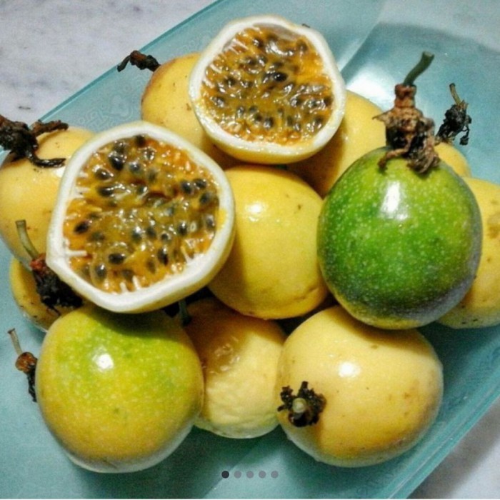 

Buah Markisa kuning segar per 1 kg Terbaru