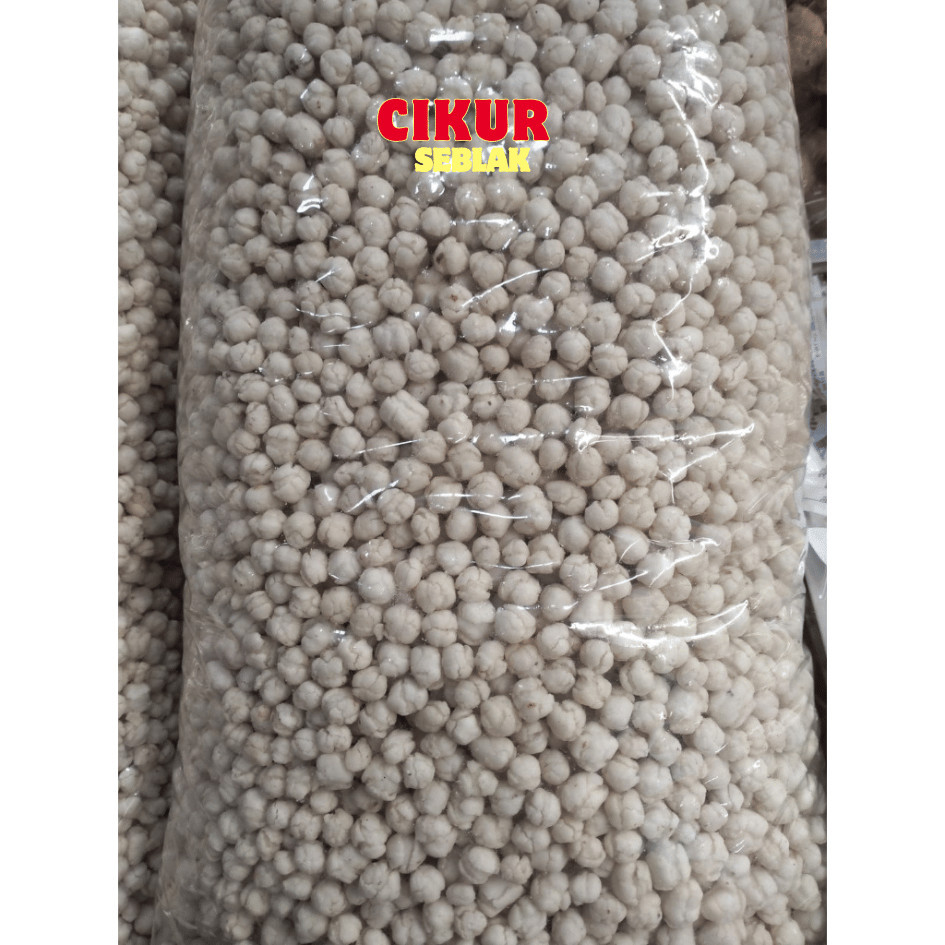 

Best Seller BISA COD! cikur 1kg sukro cikur tiktak cikur pilus cikur pilus