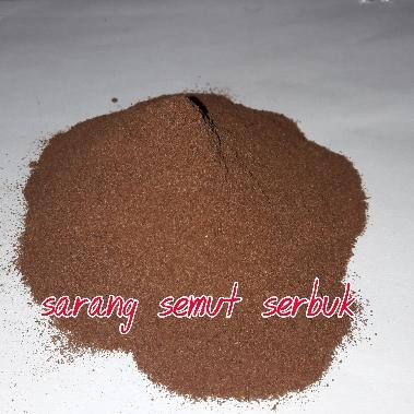 

Sarang Semut Papua Bubuk (250gr) / Obat Herbal Kanker, Tumor