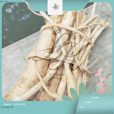 

akar pohon pepaya segar kemasan 1kg obat herbal LK Store