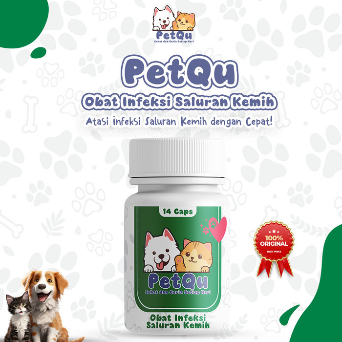 Petqu Obat Infeksi Saluran Kemih