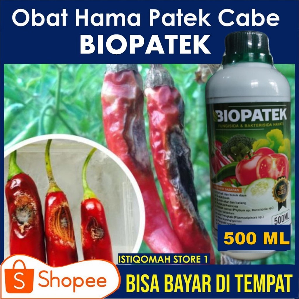 PROMO Fungsida Hayati BIOPATEK Obat Hama Patek tanaman cabe, Obat Penyakit Patek Cabe Manjur