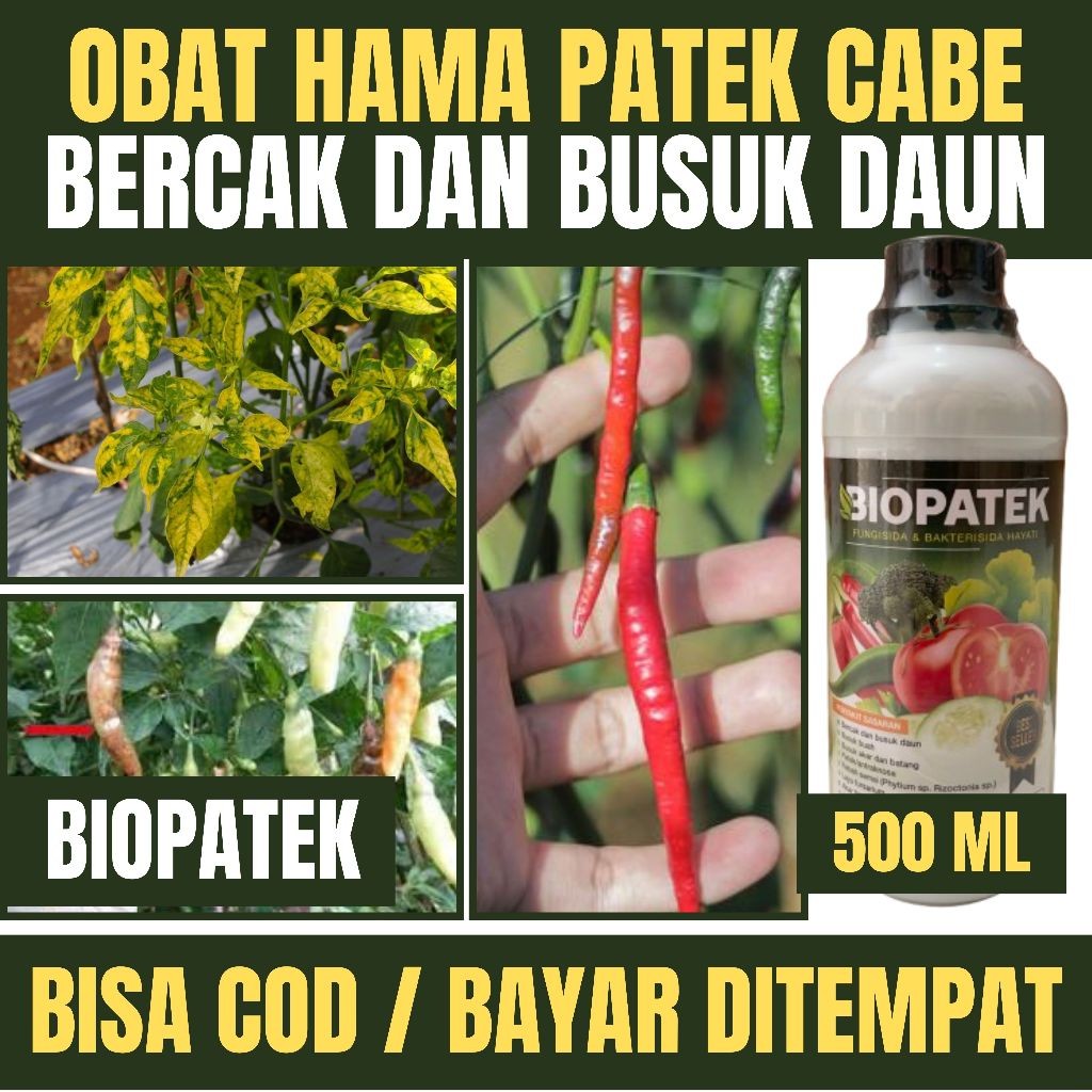 OBAT HAMA PATEK CABE, OBAT CABAI PATEK, BIOPATEK FUNGISIDA PATEK CABE, OBAT PATEK CABE TERBAIK