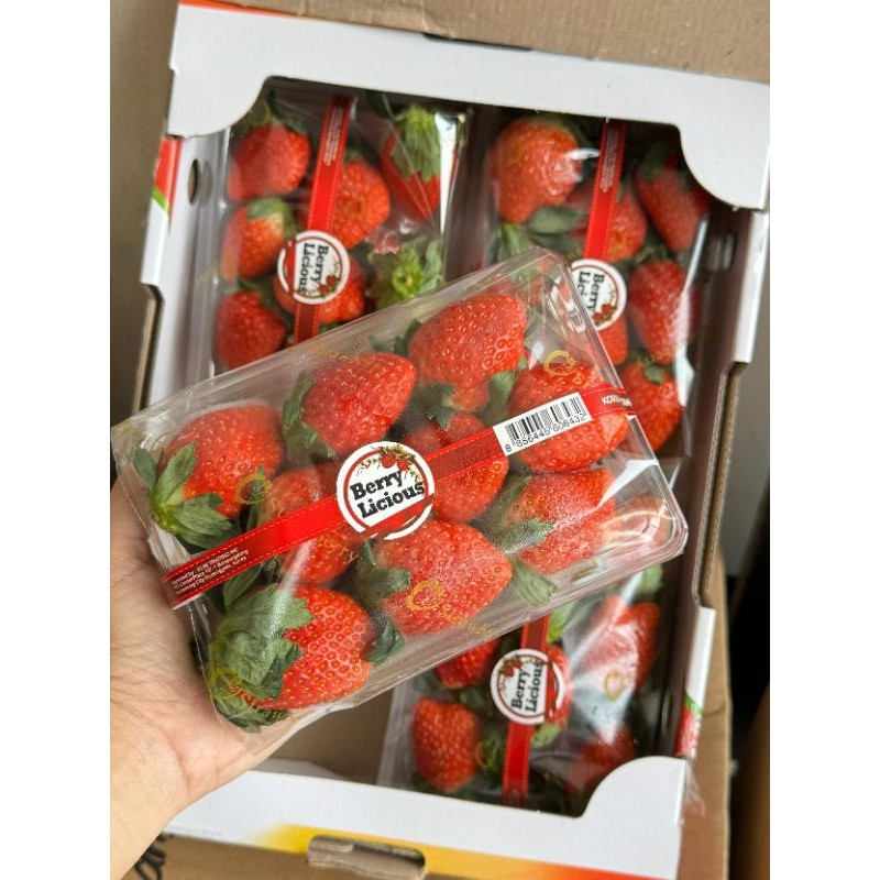Strawberry Korea 330 gr Fresh