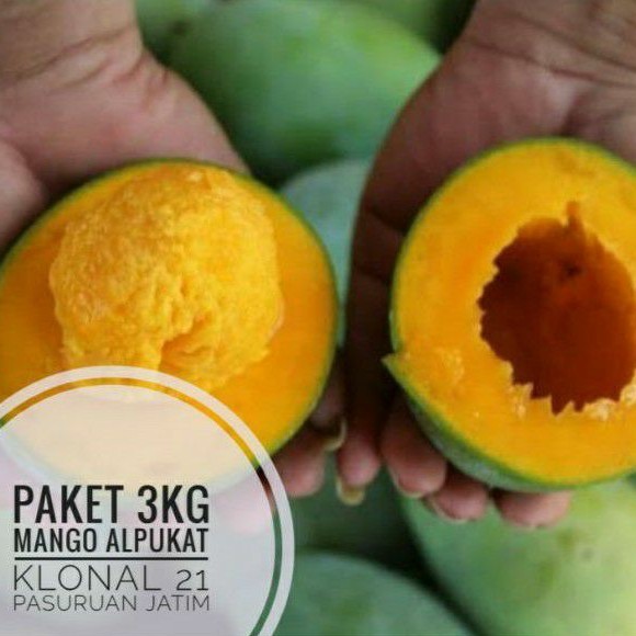 

UD BUAH 3 SAUDARA BUAH MANGGA ALPUKAT KLONAL 21 PAKET 3KG