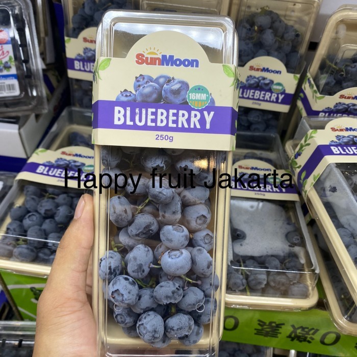 Promo Blueberry sunmoon super fresh | Buah blueberry jumbo 250 grm