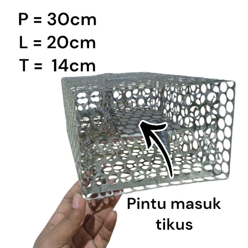 Jebakan Tikus Masal Jumbo / Jebak Tikus / Kurung Tikus / Perangkap Tikus Masal Ukuran Jumbo Kualitas