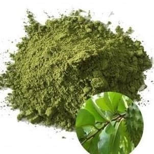 

Daun Sirsak Bubuk (1kg) / Obat Herbal Kanker Payudara