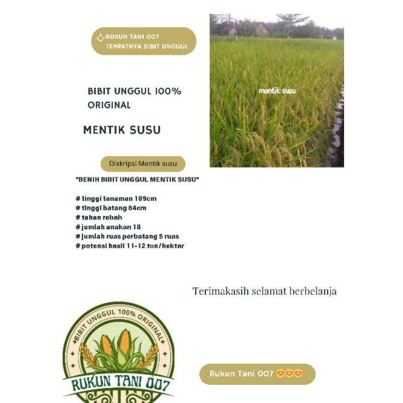 Bibit Benih Padi Mentik Susu original kemasan 5kg