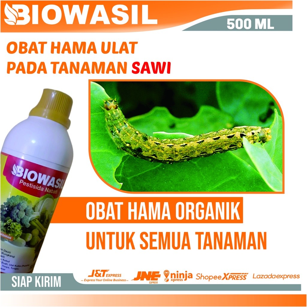 obat hama ulat bulu Pada Tanaman Sawi - Biowasil 500 ML Insektisida Cair Pembasmi Hama Ulat Grayak, 