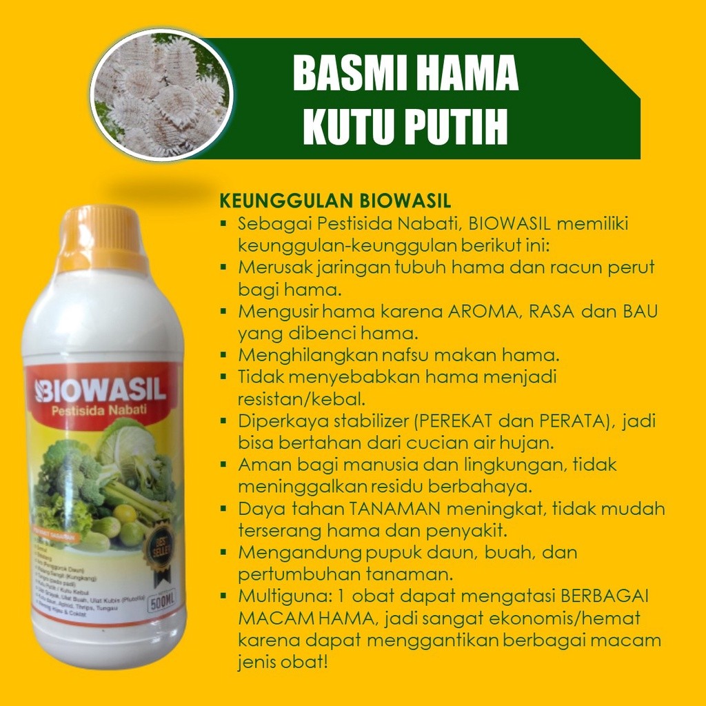 (OBAT PEMBASMI KUTU PUTIH TERBAIK) BIOWASIL 500ML PUPUK PESTISIDA ORGANIK BASMI HAMA KUTU PUTIH PADA