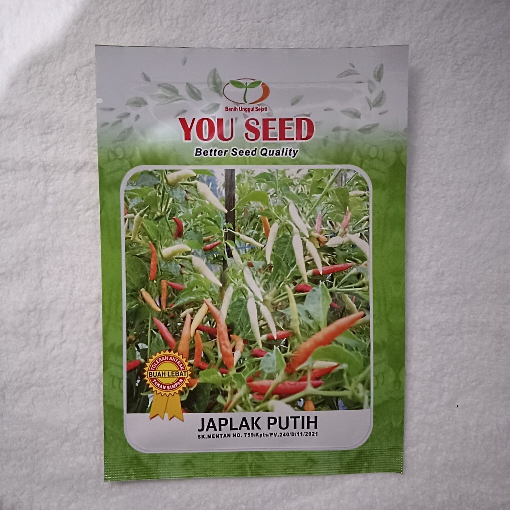 Benih SP Cabe Rawit putih JAPLAK PUTIH isi 500 Biji Bibit You Seed Small Pouch