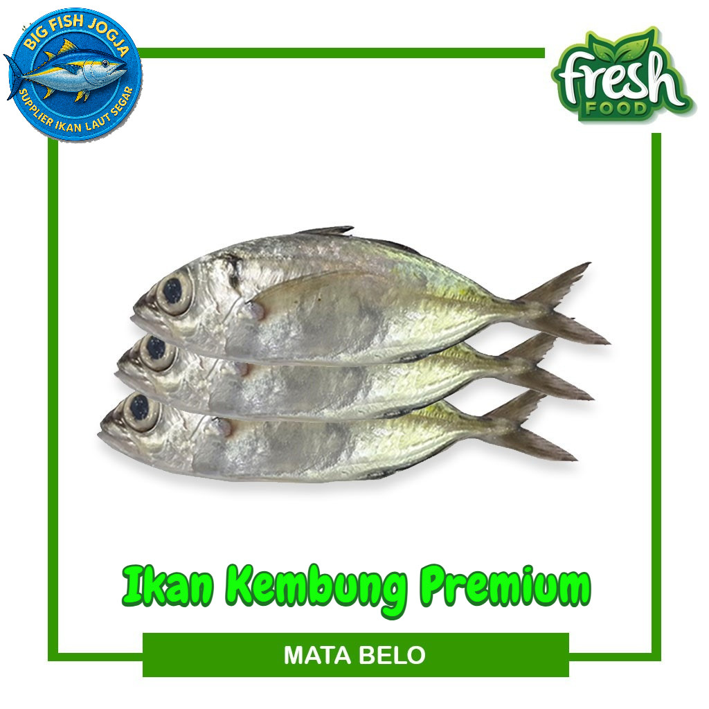 

Ikan Kembung Hasil Laut 500 Gram - Fresh Fish