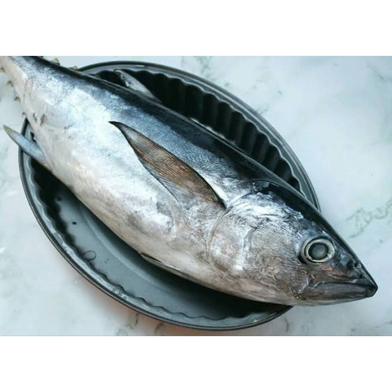 IKAN TUNA/Super/ SEGAR 1KG