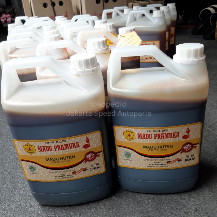 

Madu Asli Hutan 2L Madu Pramuka Lebah Liar 2000 ml