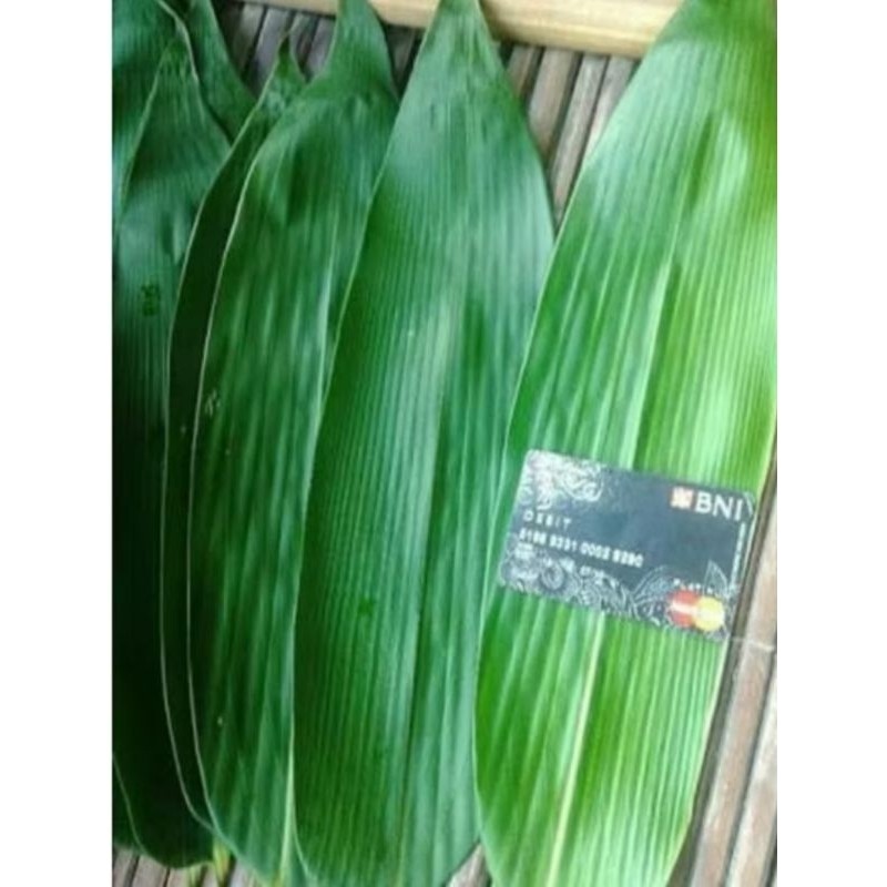 

150 LEMBAR DAUN Bambu 6-7cm Fresh termurah