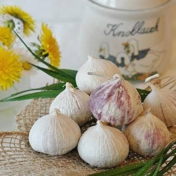 

Bawang Putih Tunggal (1kg) / Bawang Lanang