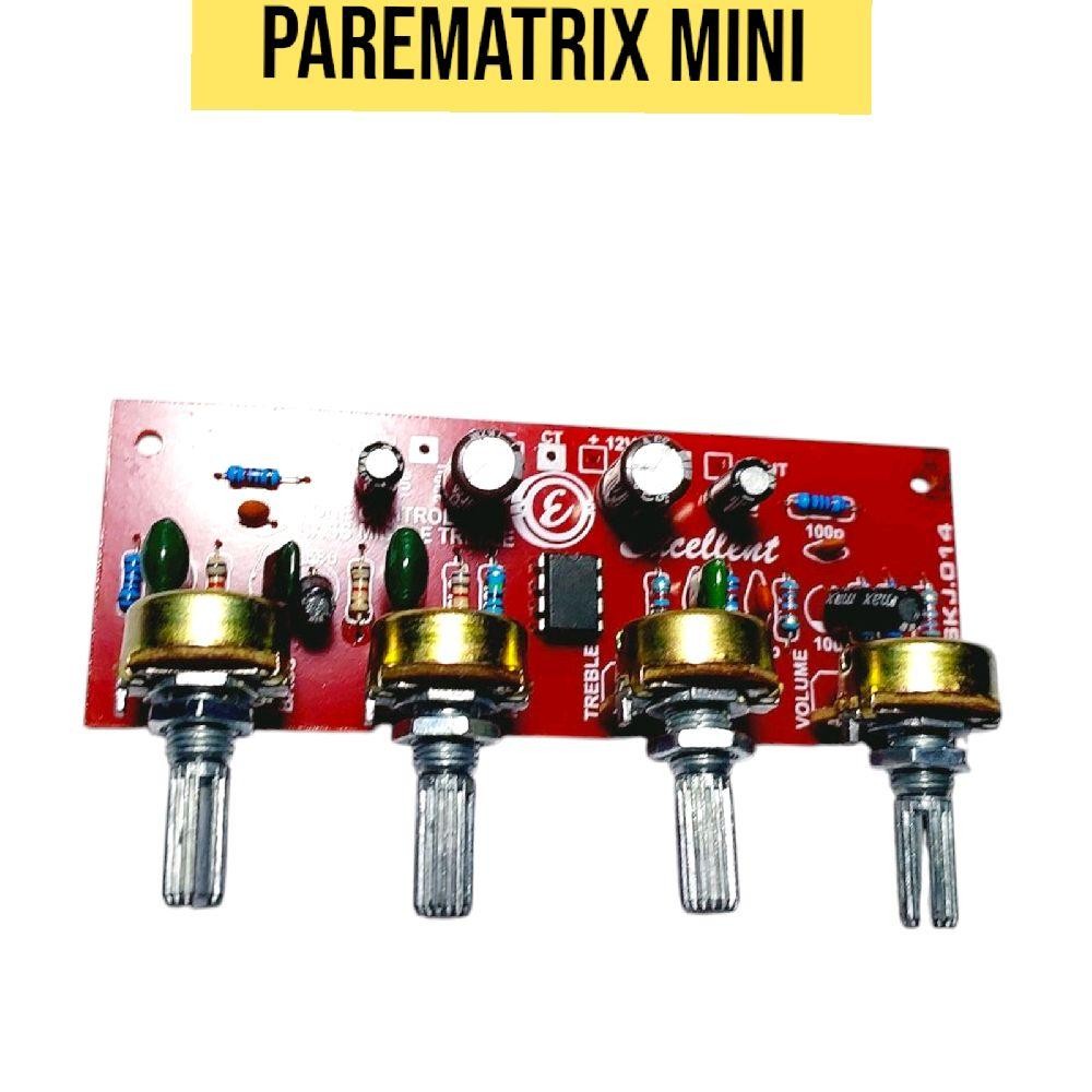Parametrix mini 12 v simetris Amplifier