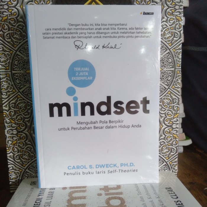 buku mindset carol dweck