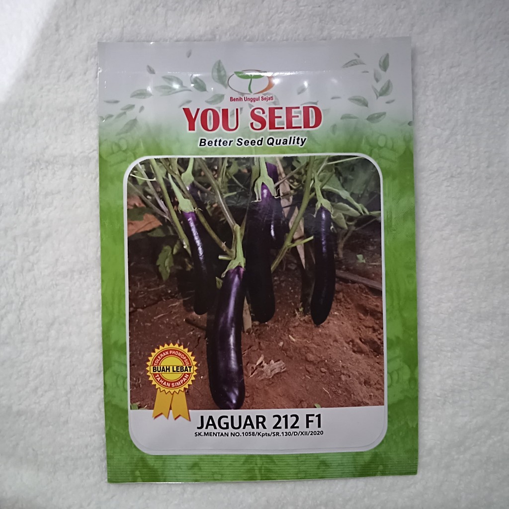 Benih SP Terong Ungu JAGUAR 212 F1 isi 500 Bjii Bibit You Seed Small Pouch