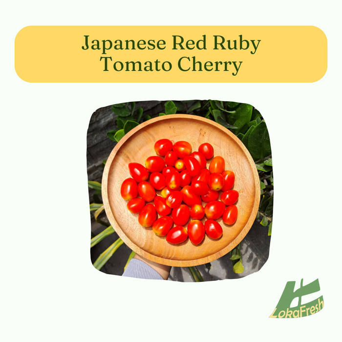 

Tomat Ceri Merah/ Tomato Cherry Red 250 gram