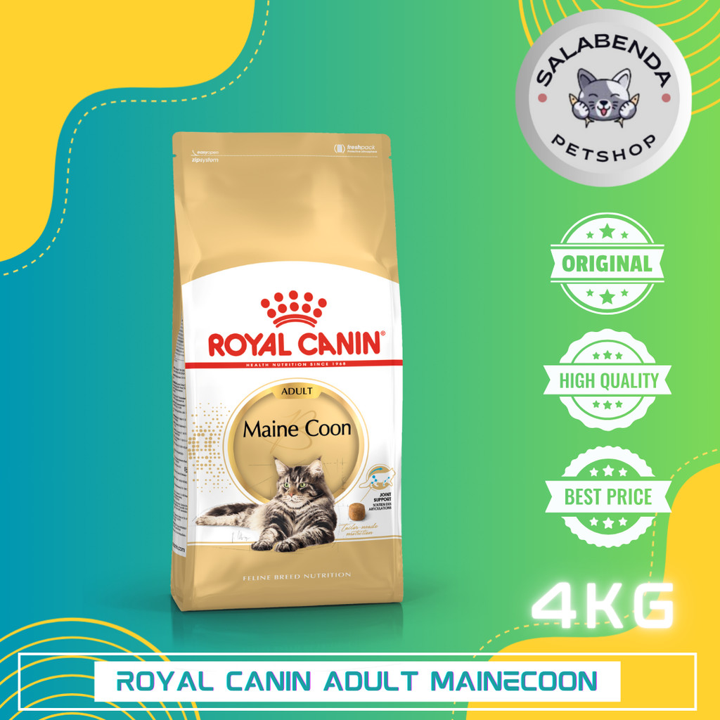 ROYAL CANIN MAINE COON ADULT 4KG