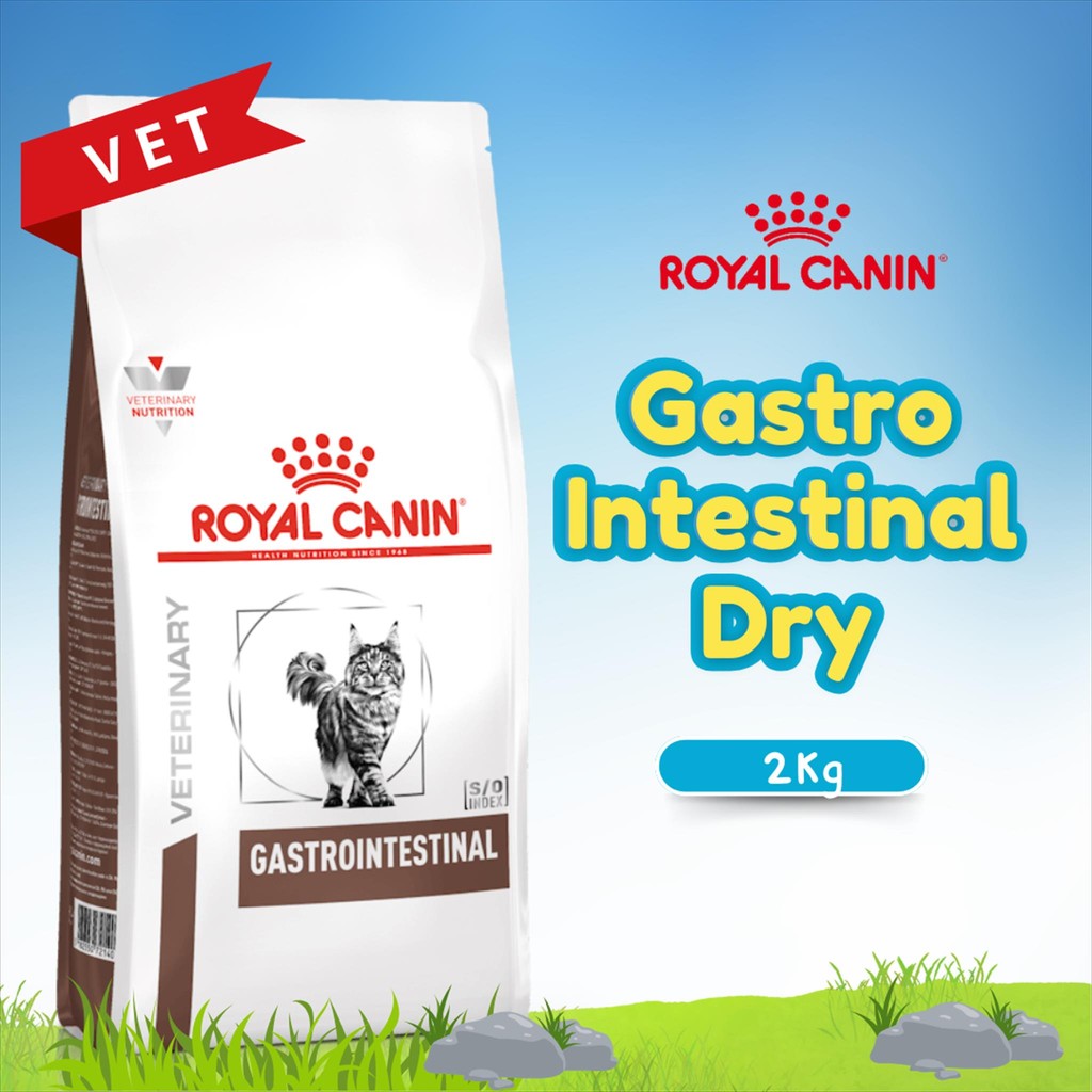ROYAL CANIN GASTRO INTESTINAL CAT 2KG / RC GASTRO CAT ADULT