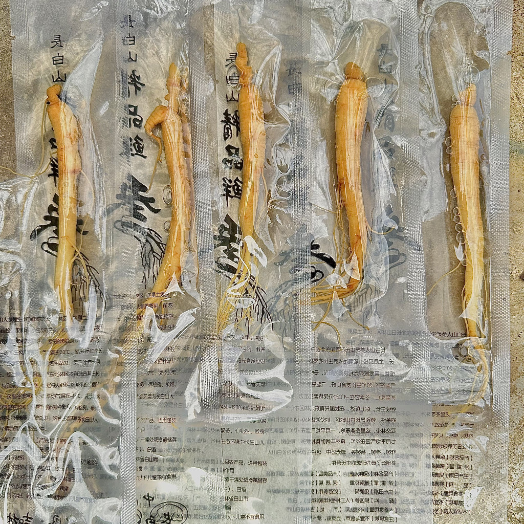 

Panax Ginseng Vakum 20gr | Akar Ginseng Herbal Asli Changbai untuk Rendaman