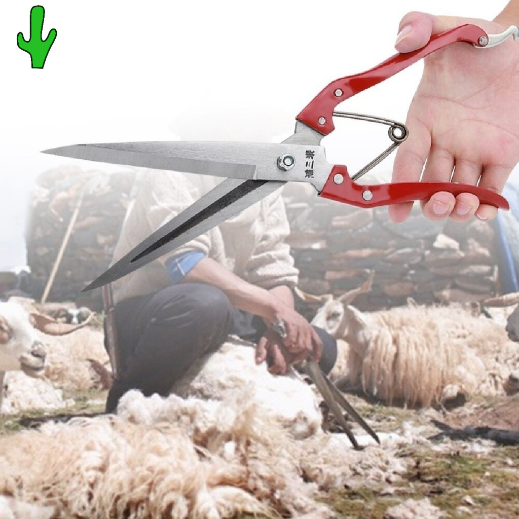 Blibeli Gunting Cukur Manual Bulu Hewan Domba Kambing Bulu Domba Kambing Anjing Premium 30CM